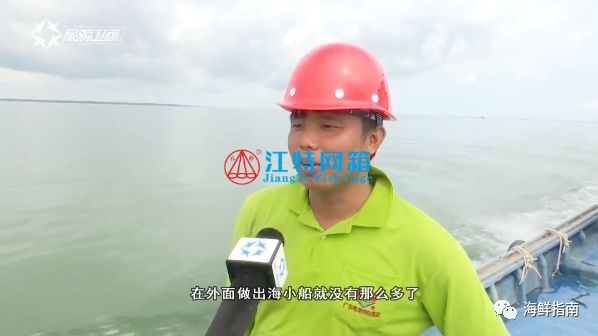 海南小伙网箱养鱼