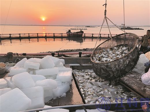 夕阳下的深海网箱养殖牧场