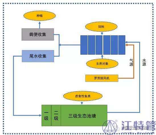 集装箱循环水养殖技术之科普与推广