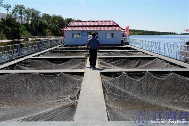 网箱养鱼管理知识你得提前掌握 网箱养鱼管理知识你得提前掌握