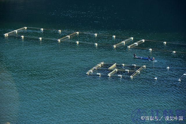 网箱养鱼管理知识你得提前掌握 网箱养鱼管理知识你得提前掌握